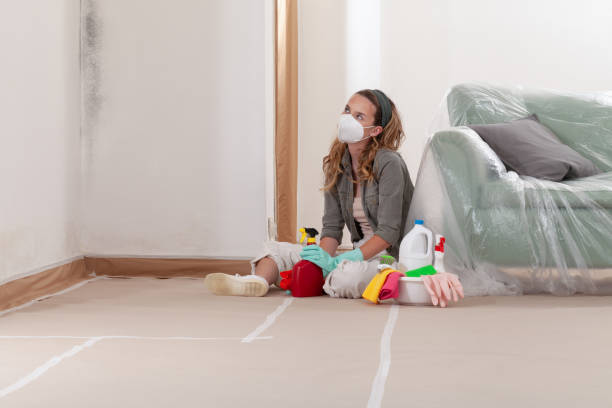 Reliable Mold Remediation contractor in Warren, NJ by Cheap Mold Removal